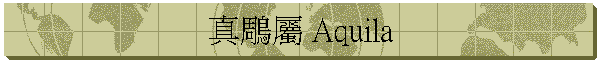 真鵰屬 Aquila