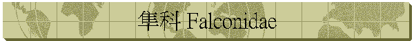 隼科 Falconidae