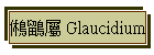  Glaucidium