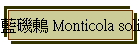 藍磯鶇 Monticola solitarius
