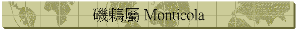 磯鶇屬 Monticola