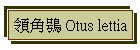 ⨤ Otus lettia