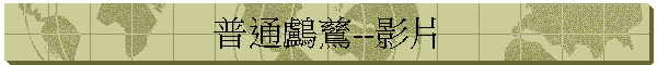 普通鸕鶿--影片