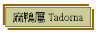 麻鴨屬 Tadorna