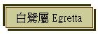 白鷺屬 Egretta