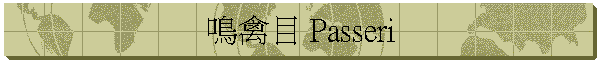 鳴禽目 Passeri