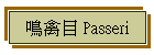 鳴禽目 Passeri