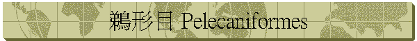 鵜形目 Pelecaniformes